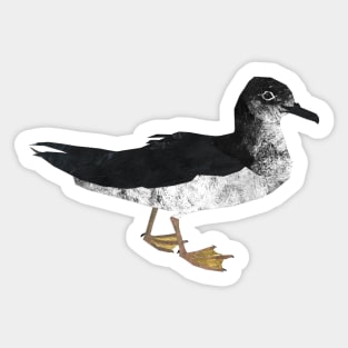 Manx Shearwater (standing) Sticker